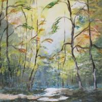 C / 43 COULEURS D'AUTOMNE / 40X50 / 130 €