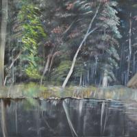 C / 46 NUIT D'AMAZONIE / 55X38 / 150 €